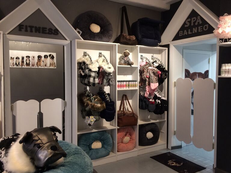 Оздоровительный центр для собак в Бельгии Оздоровительный центр для собак в Бельгии