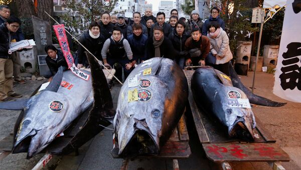 Голубой тунец весом 405 кг на рыбном рынке Цукидзи в Токио. 5 января 2018