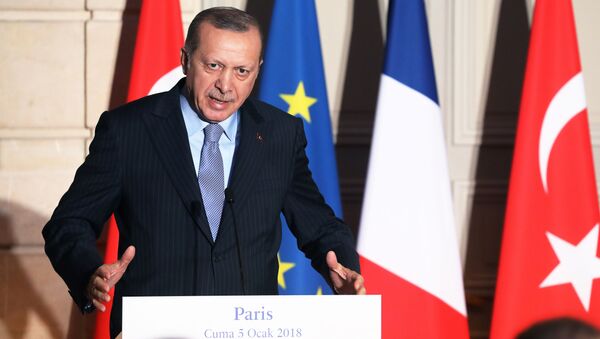 Президент Турции Реджеп Тайип Эрдоган на пресс-конференции с президентом Франции Эммануэлем Макроном в Елисейском дворце в Париже. 5 января 2018