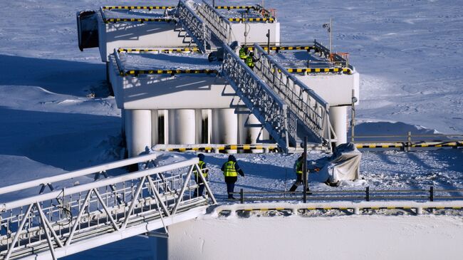 Завод по производству сжиженного газа. Архивное фото