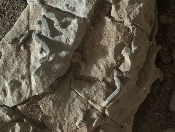 Окаменелости, найденные на Марсе