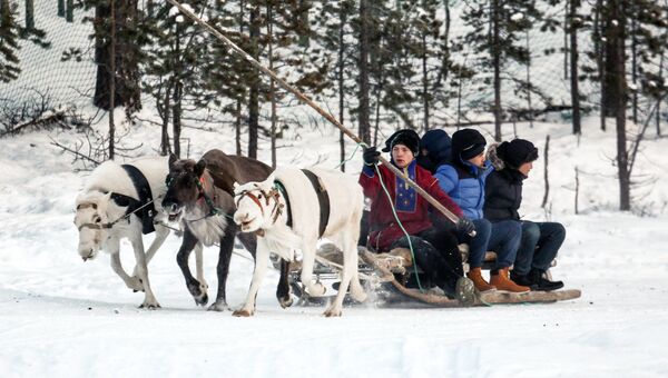 Китайские туристы катаются на оленьей упряжке в саамской деревне Самь-Сыйт в поселке Ловозеро Мурманской области