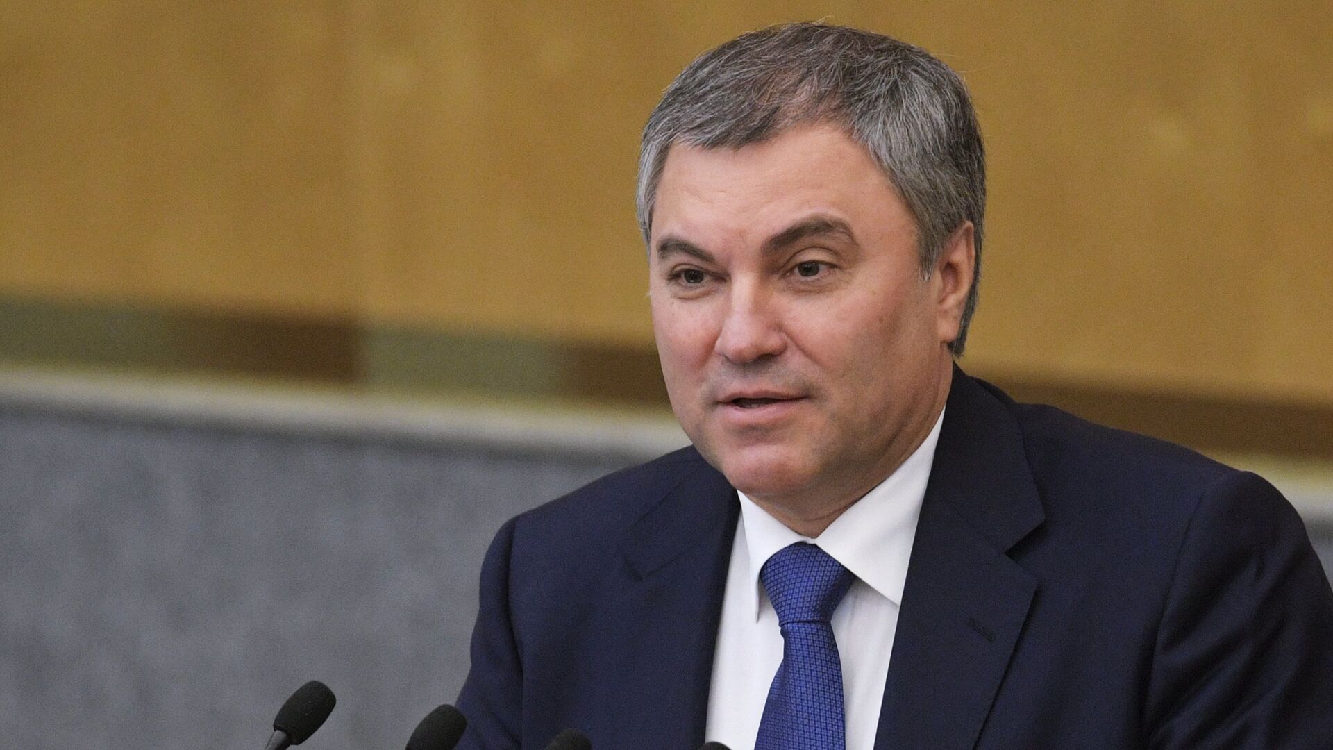 Председатель Государственной Думы РФ Вячеслав Володин Председатель Государственной Думы РФ Вячеслав Володин - РИА Новости, 1920, 05.09.2025