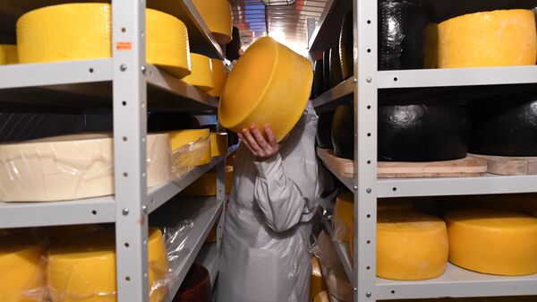 Изготовление сыра. Архивное фото