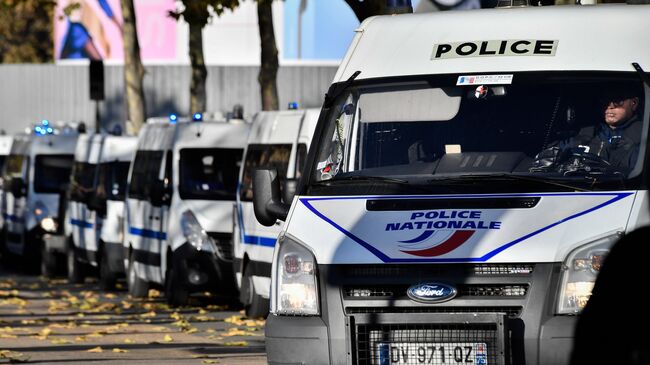 Полицейские автомобили в Париже. Архивное фото
