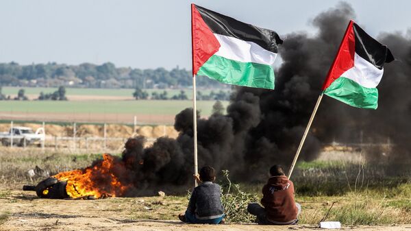 Демонстранты с флагами Палестины