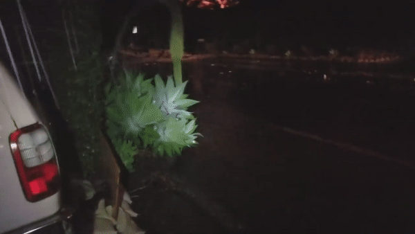 Американец снял на видео сход селевых потоков на свой дом. Скриншот