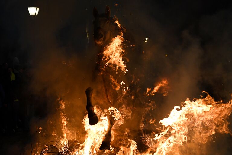 Всадник прыгает через костер во время огненного фестиваля Las Luminarias в Испании