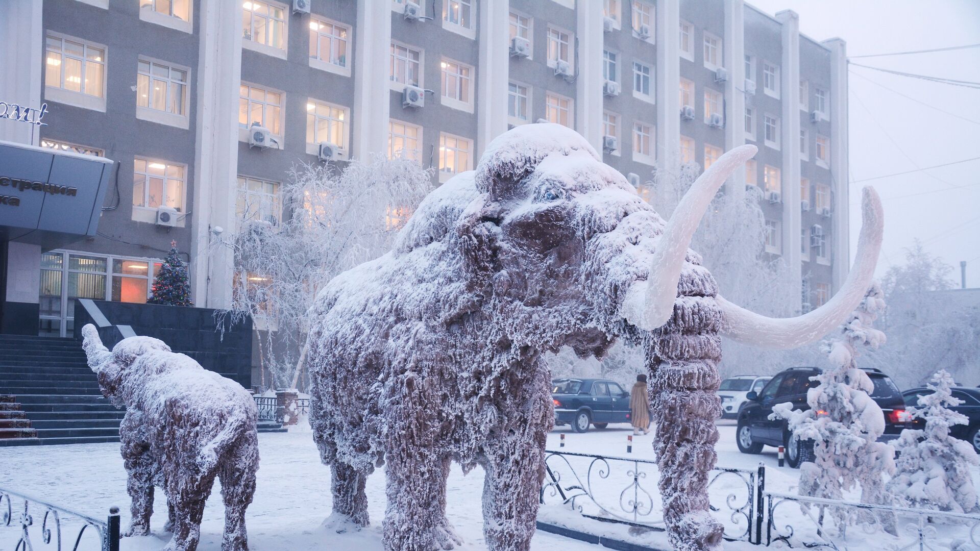 Скульптура мамонта возле здания окружной администрации города Якутска - РИА Новости, 1920, 29.12.2021