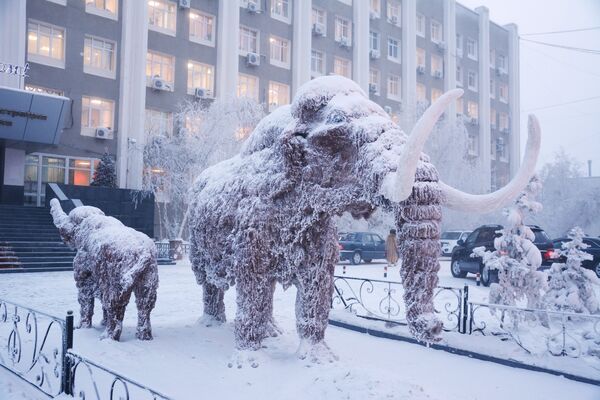 Скульптура мамонта возле здания окружной администрации города Якутска