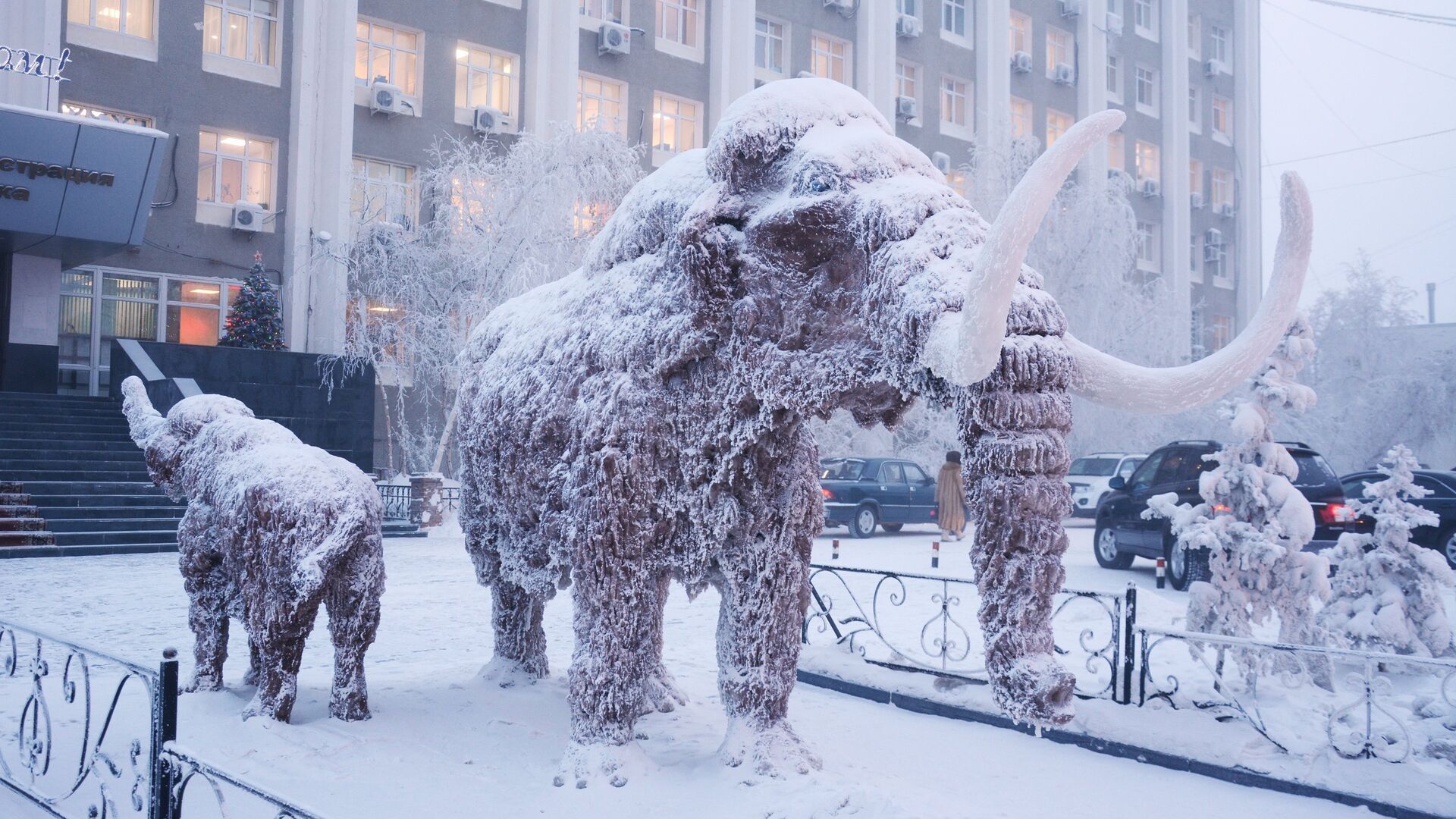 Скульптура мамонта возле здания окружной администрации города Якутска - РИА Новости, 1920, 24.12.2021