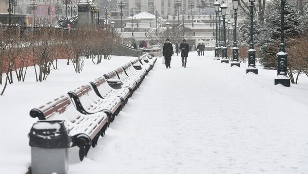 Прохлжие в Александровском саду во время снегопада в Москве