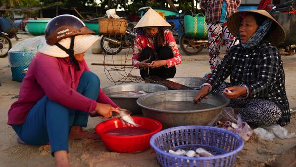 Местные жители разделывают рыбу на берегу в деревне Ке Га во Вьетнаме