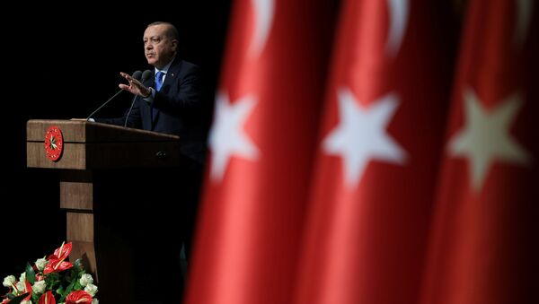 Президент Турции Тайип Эрдоган выступает на церемонии в Анкаре, Турция. 22 января 2018