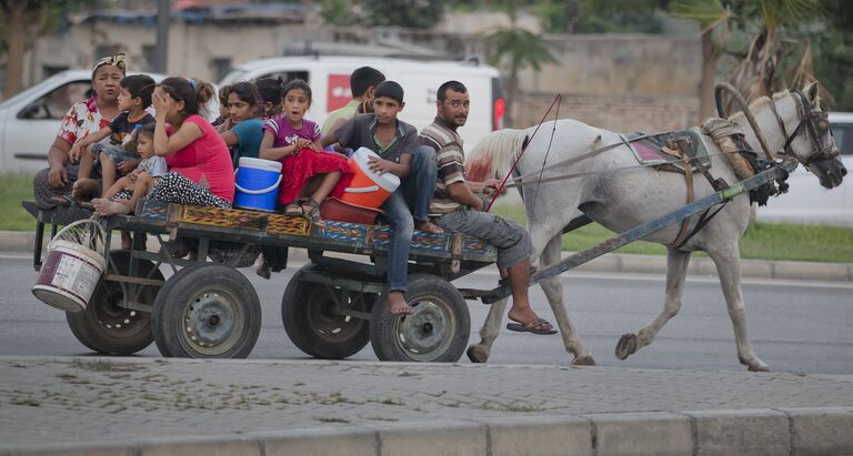 Местные жители с детьми в телеге, в провинции Адана на юге Турции. 2013 год