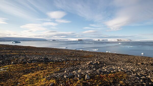 Остров в Арктике. Архивное фото