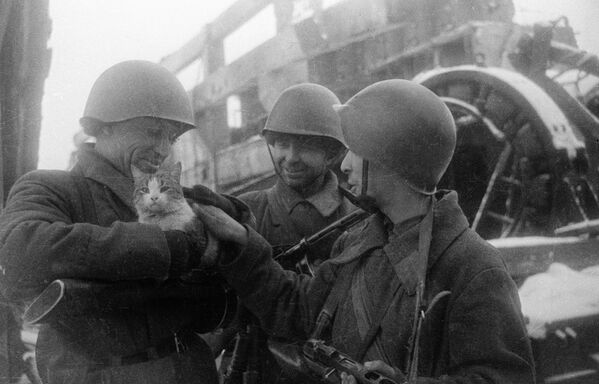 Мирные воспоминания. Сталинград, 1943 год