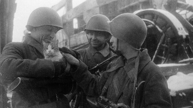 Мирные воспоминания. Сталинград, 1943 год. Архивное фото