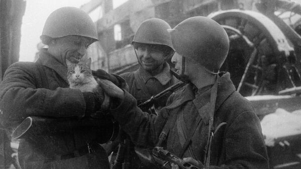Мирные воспоминания. Сталинград, 1943 год. Архивное фото