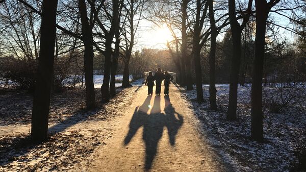 Отдыхающие гуляют в парке Серебряный бор в Москве. Архивное фото