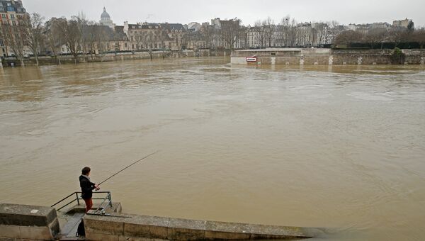 Затопленные берега реки Сены в Париже, Франция. 27 января 2018
