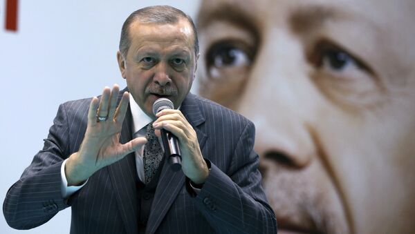 Президент Турции Тайип Эрдоган в Турции. Архивное фото