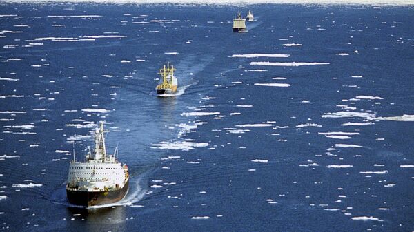 Караван транспортных судов в сопровождении ледоколов проходит по Северному морскому пути. Архивное фото