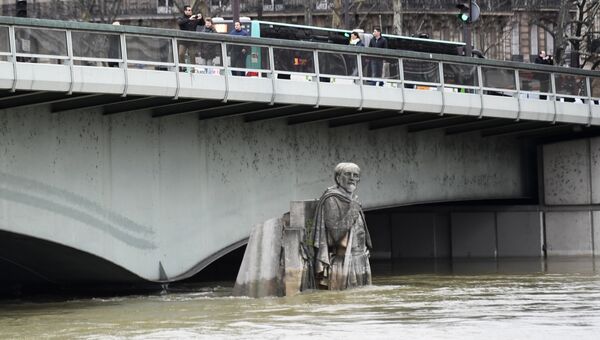 Уровень воды в реке Сене достиг пика, Париж. 29 января 2018