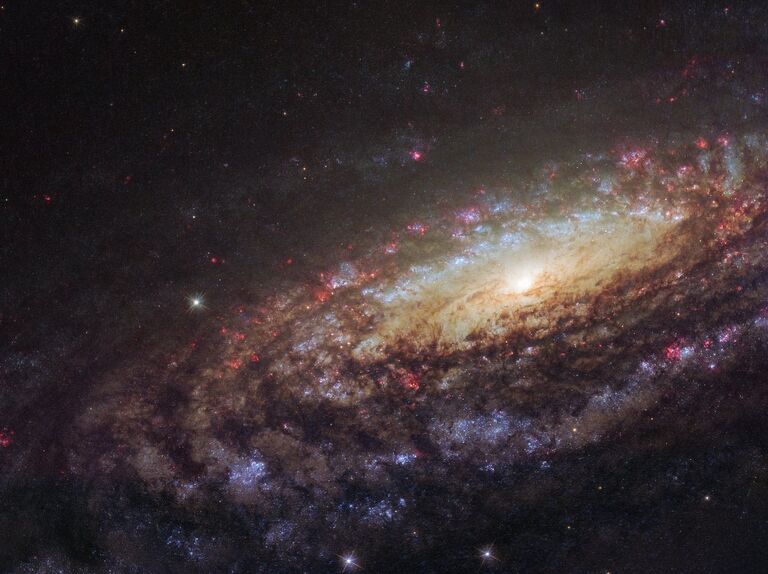 Спиральная галактика NGC 7331 в созвездии Пегас