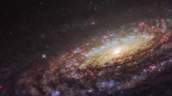 Спиральная галактика NGC 7331 в созвездии Пегас