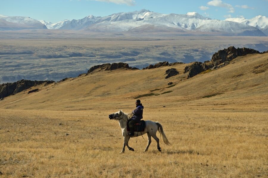 Всадник на горе в Кош-Агачском районе Республики Алтай