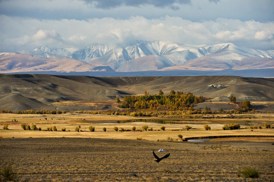 Чуйская степь в Кош-Агачском районе Республики Алтай