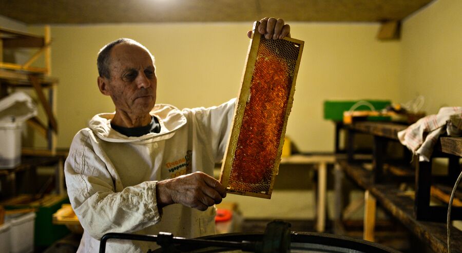 Пчеловод Анатолий Ельцов закладывает рамки с медом в медогонку, чтобы начать качку меда