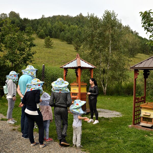 Экскурсия на пасеке Медом в ухо на территории особой экономической зоны Бирюзовая Катунь в Алтайском крае 