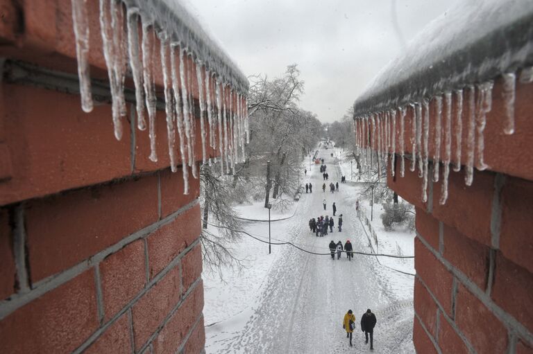 Погода в Москве