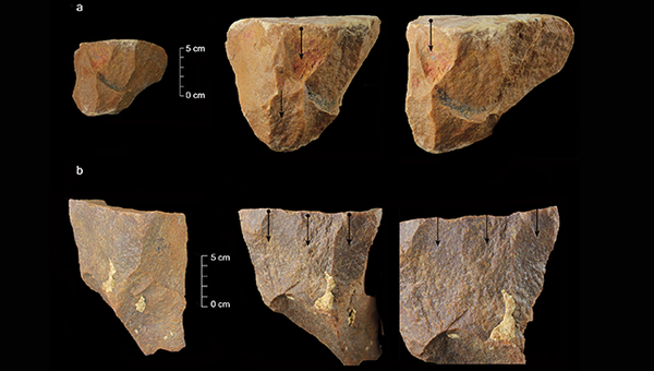 Потенциально древнейшие орудия труда, изготовленные первыми современными людьми 385-172 тысячи лет назад