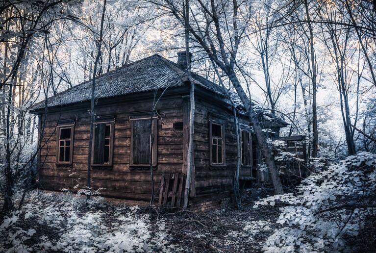 Образовавшееся от взрыва облако разнесло радиоактивные материалы и осело на территории, которые располагались вблизи реактора.