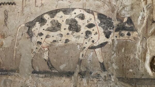 Фрески внутри гробницы чиновницы эпохи Древнего царства, обнаруженной у пирами Гизы