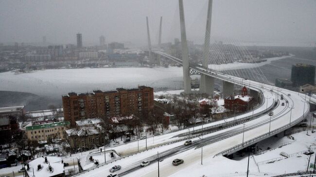 Вид с Орлиной сопки на вантовый мост через бухту Золотой Рог во Владивостоке. Архивное фото