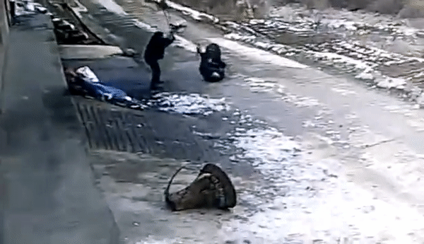 В Сети появилось видео нападения дикого кабана на пенсионера в Китае