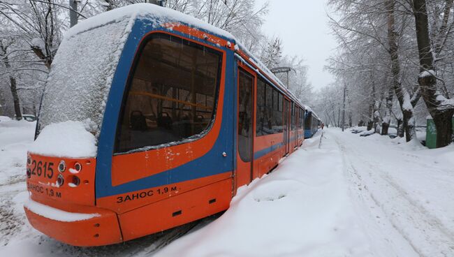 Трамваи, временно оставшиеся без электричества в результате падения дерева на провода из-за снегопада в Москве. 4 февраля 2018
