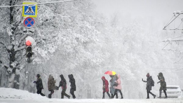 Люди на пешеходном переходе на Воробьевых горах во время снегопада