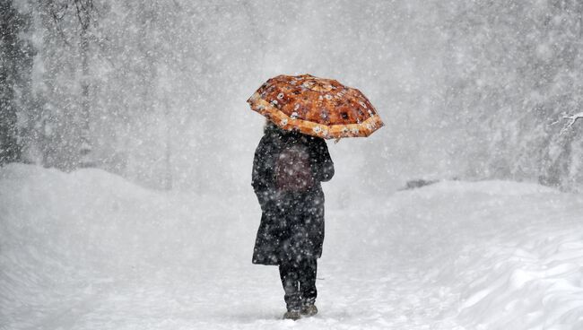 Женщина с зонтом во время снегопада в музее-заповеднике Коломенское. 4 февраля 2018