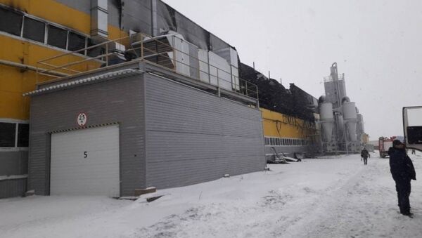 Последствия пожара в деревне Аннолово на заводе ТехноНиколь. 5 февраля 2018