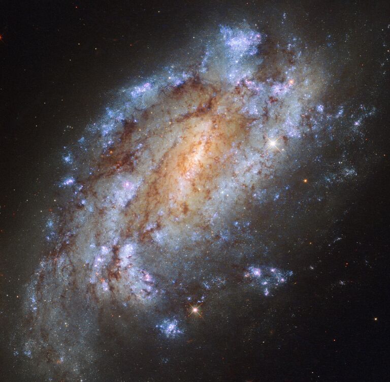 Галактика NGC 1559 в созвездии Сетки, один из самых одиноких объектов космоса