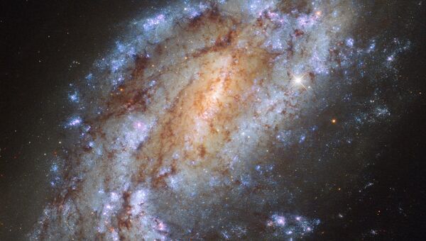 Галактика NGC 1559 в созвездии Сетки, один из самых одиноких объектов космоса