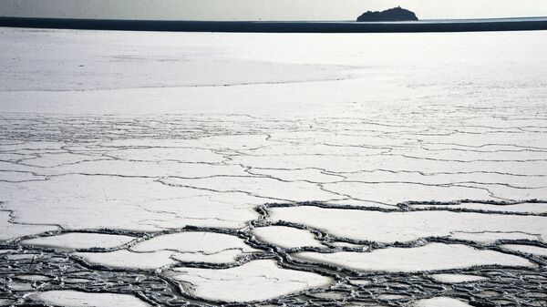 Лед на море. Архивное фото