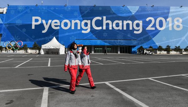 Волонтеры XXIII зимних Олимпийских игр в Олимпийском парке в Канныне. Архивное фото