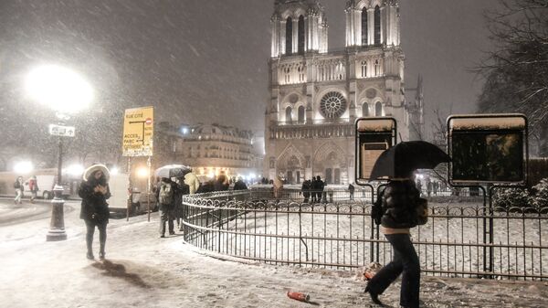 Прохожие возле собора Парижской Богоматери (Notre-Dame de Paris) во время снегопада в Париже