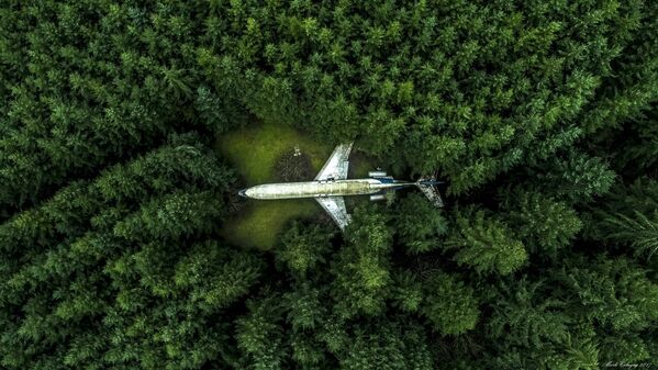 Снимок Самолет в лесу (Plane in the Forest) фотографа Mark Calayag, взявший приз в категории Popular Prize